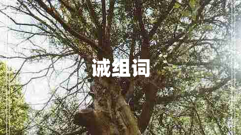 誡組詞