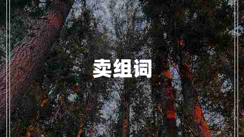 賣(mài)組詞