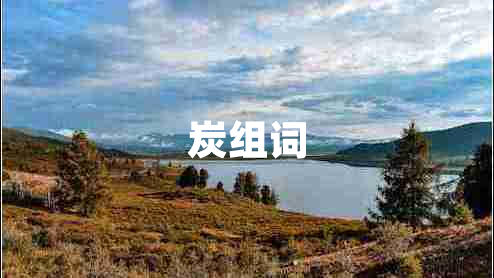 炭組詞