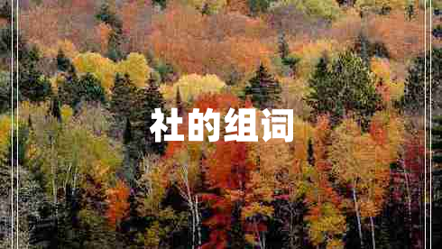 社的組詞