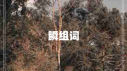 瞬組詞