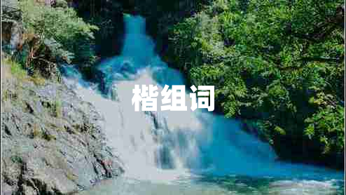 楷組詞