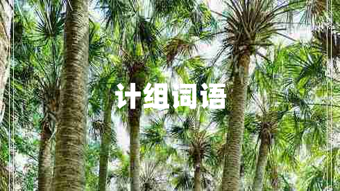 計組詞語