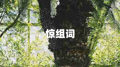 驚組詞