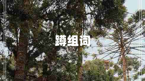 蹲組詞