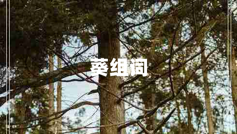 葵組詞