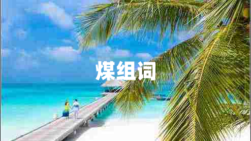 煤組詞