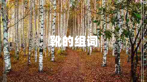 靴的組詞