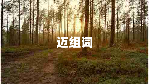 邁組詞