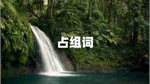 占組詞