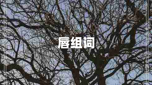 唇組詞