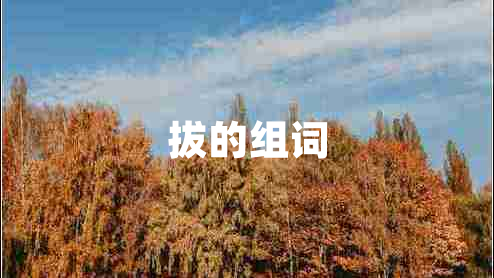 拔的組詞