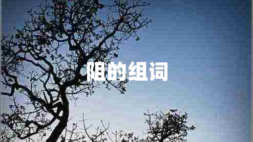 阻的組詞