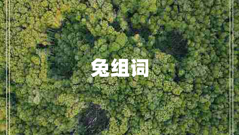 兔組詞