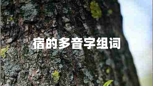 宿的多音字組詞