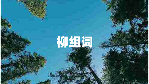 柳組詞