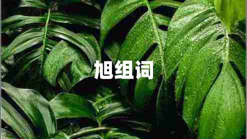 旭組詞
