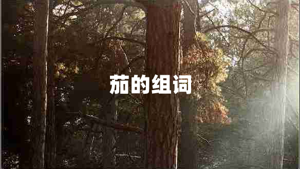 茄的組詞