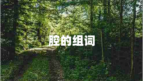 腔的組詞