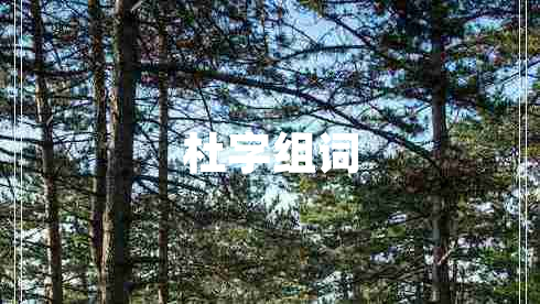杜字組詞
