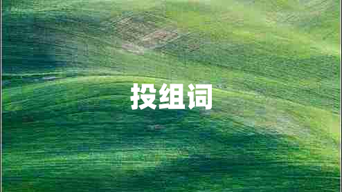 投組詞