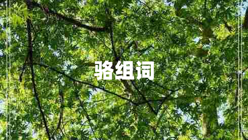 駱組詞