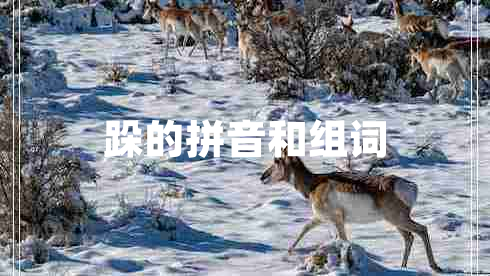 跺的拼音和組詞