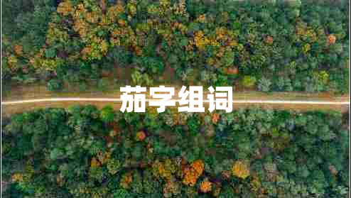 茄字組詞