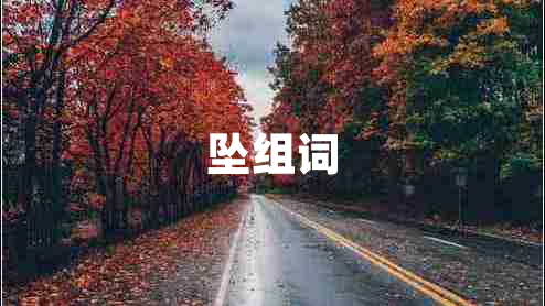 墜組詞