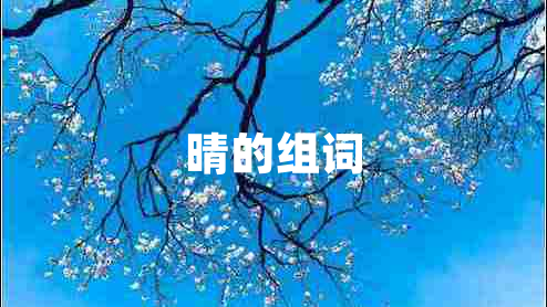 晴的組詞