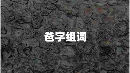 爸字組詞