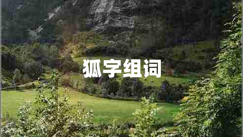 狐字組詞