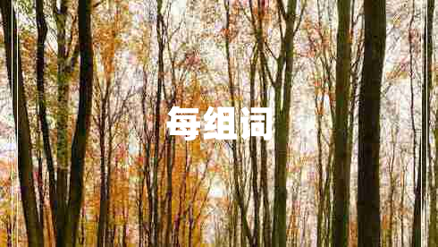 每組詞