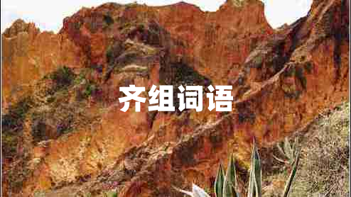 齊組詞語(yǔ)