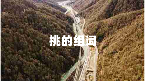 挑的組詞
