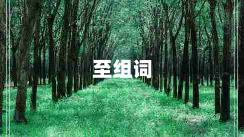 至組詞