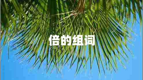 倍的組詞