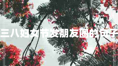 三八婦女節發(fā)朋友圈的句子