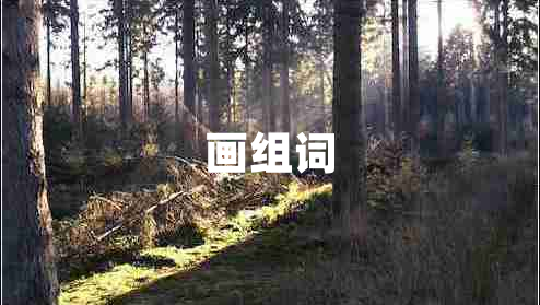 畫(huà)組詞