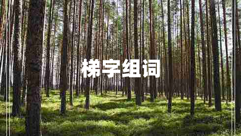 梯字組詞