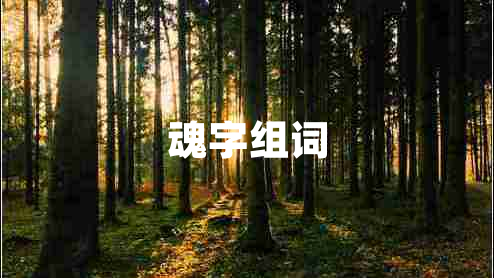 魂字組詞