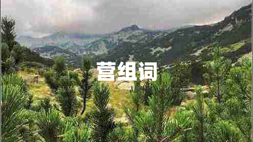 營(yíng)組詞