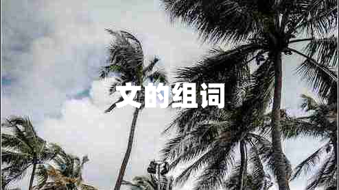 文的組詞