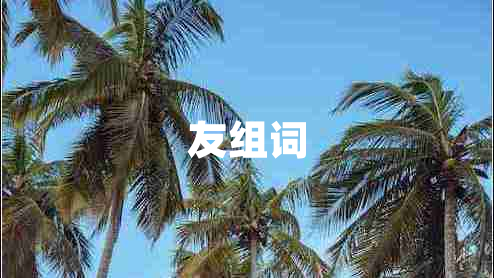友組詞
