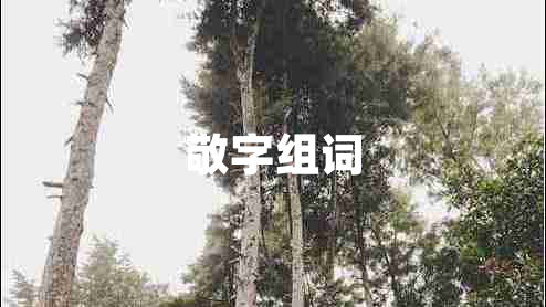 敬字組詞