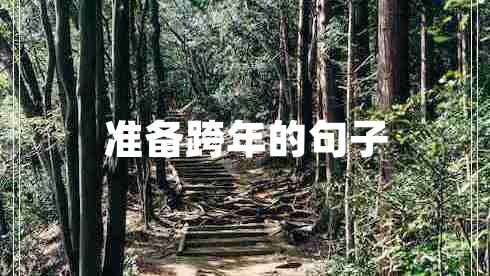 準備跨年的句子