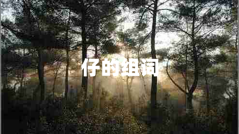 仔的組詞