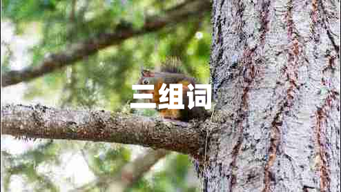 三組詞
