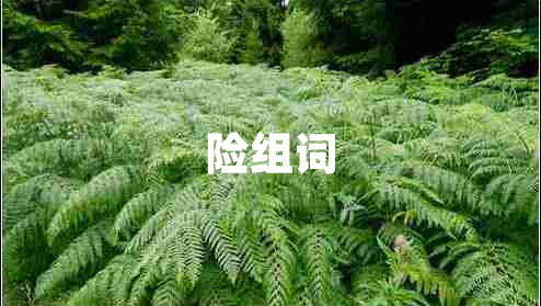 險組詞