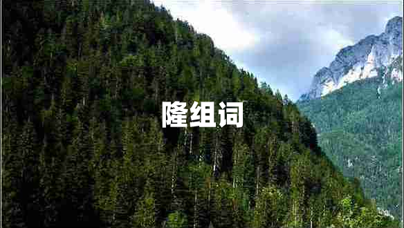 隆組詞